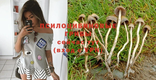 эйфоретик Михайловка