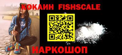 спиды Камышлов