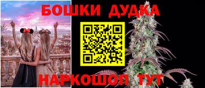 спиды Камышлов