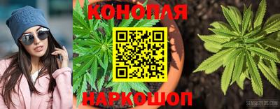 крисы Канаш