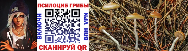 mega ссылка  Мыски  Галлюциногенные грибы ЛСД 