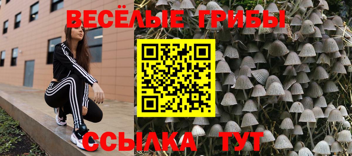 Псилоцибиновые грибы GOLDEN TEACHER  Вход с VPN  Мыски 